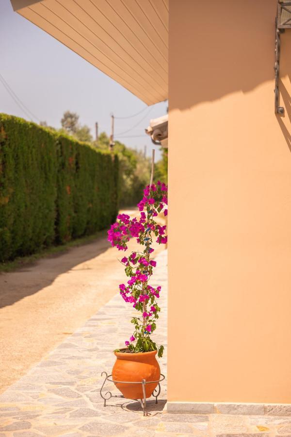 Kourouta Villas Amaliada Ngoại thất bức ảnh